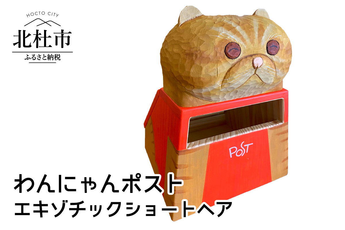 わんにゃんポスト エキゾチックショートヘアー 山梨県北杜市 ふるさと納税 ふるさとチョイス