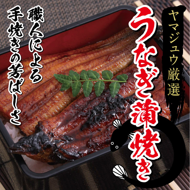 蒲焼き・白焼きを交互にお届け！国産うなぎ２尾【全４回定期便】 _