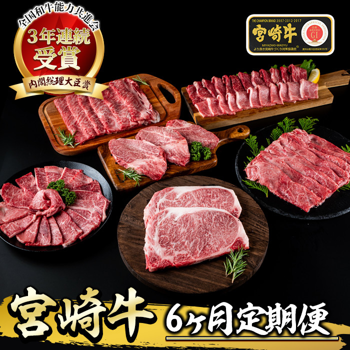 最新作 500g 齋藤牛 宮崎県新富町 ふるさと納税 赤身焼肉 宮崎和牛 牛肉