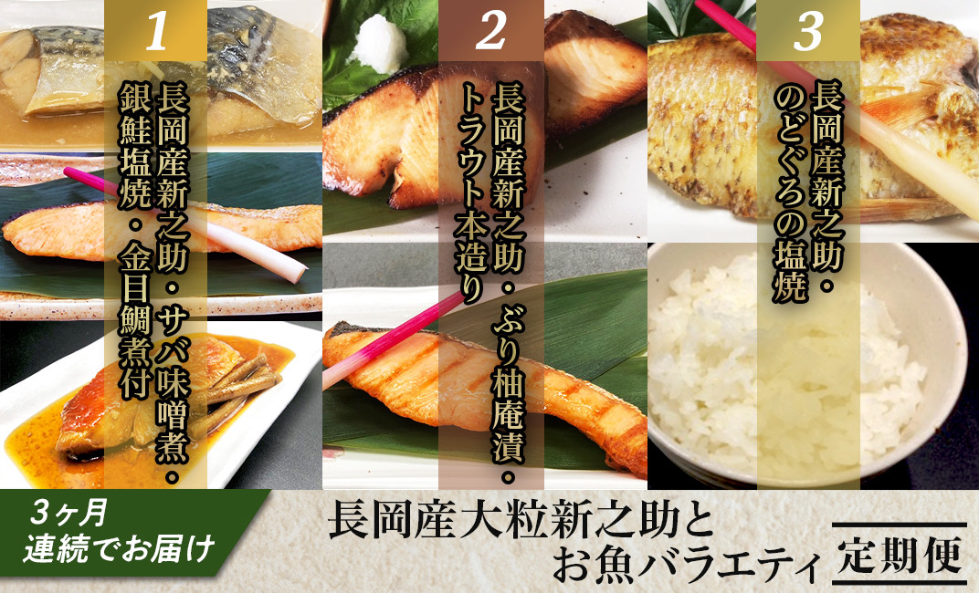 あすつく】 食品 冷凍食品 おかず ひとくちサーモンの醤油漬 materialworldblog.com