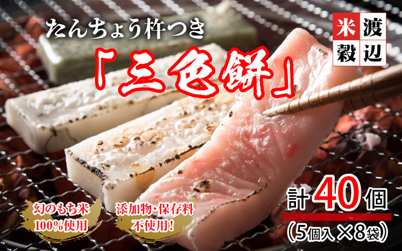 先行予約】たんちょう杵つき「のし餅」 計40個 ～幻のもち米100％使用