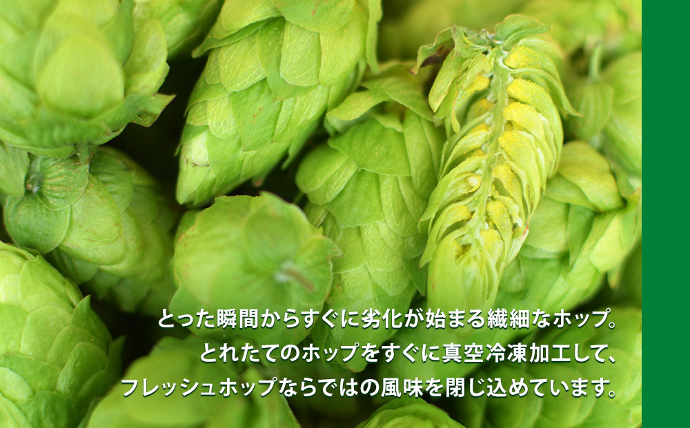 クラフトビール 巻風エール Pale Ale 6本セット - 宮城県石巻市｜ふるさとチョイス - ふるさと納税サイト