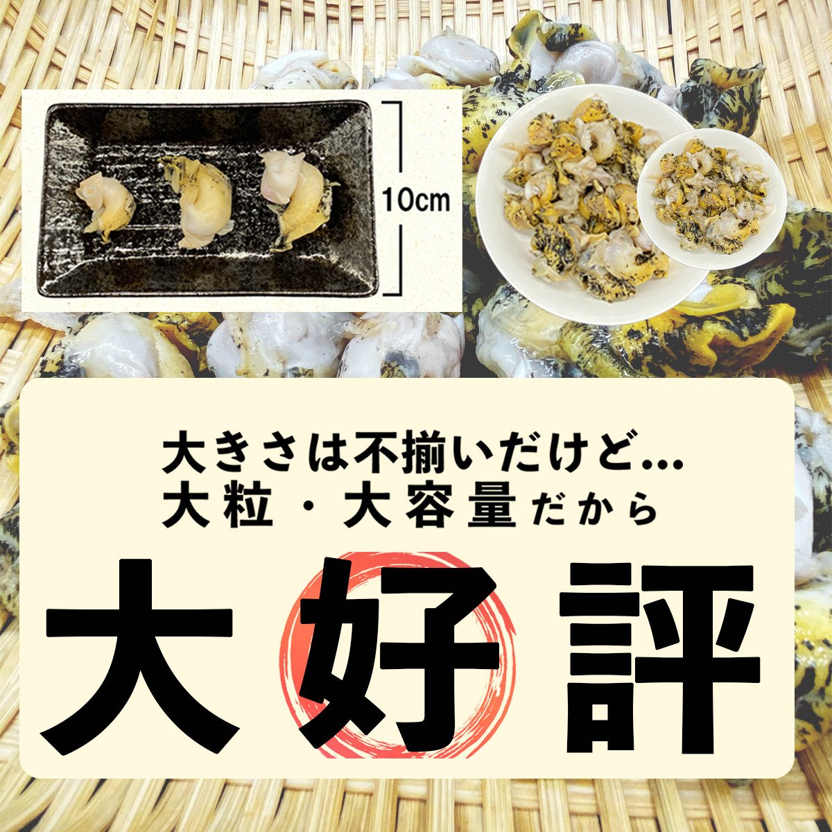 北海道鹿部町産 訳あり ”前浜ボイルつぶ ” 900g 灯台つぶ（300g×3袋）つぶ貝 ツブ貝 海鮮 海産 お酒 ビール おつまみ 晩酌 刺身 -  北海道鹿部町｜ふるさとチョイス - ふるさと納税サイト