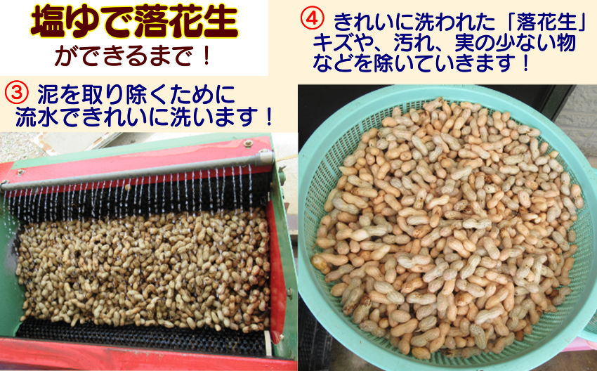 令和６年産＞ 種子島 中村屋 塩ゆで 落花生 300g ×5袋 NFN031 【375pt】 // 種子島産 冷凍落花生 選定作業 塩ゆで作業  自家農園 おつまみ おやつ 塩茹で らっかしょう - 鹿児島県西之表市｜ふるさとチョイス - ふるさと納税サイト