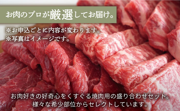 2022年5月発送開始】【牧場直送】【6回定期便】佐賀県産しろいし牛