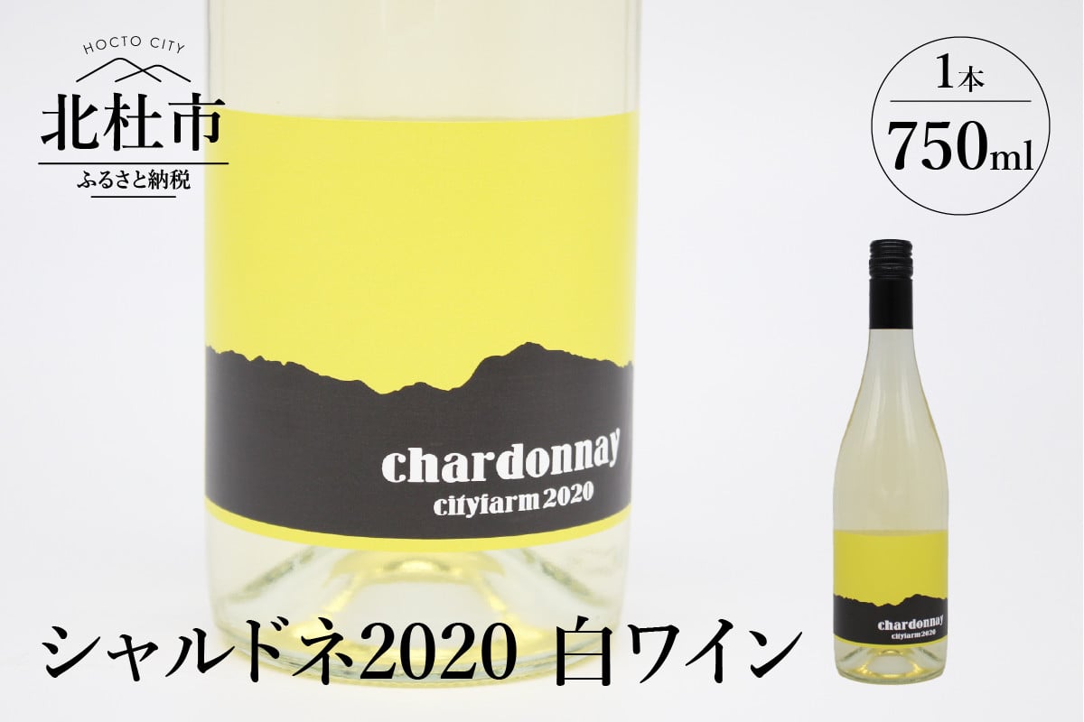 ふるさと納税 山梨市 サントネージュワインが贈るシャルドネとメルロー2本セット