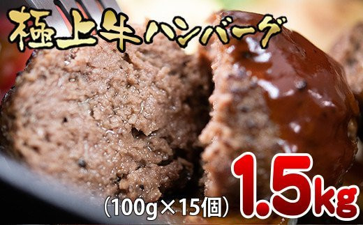 極上ハンバーグステーキ15個 合計1 5kg 黒毛和牛100 スペシャルポーション 翌月発送 1 154 宮崎県西都市 ふるさと納税 ふるさとチョイス