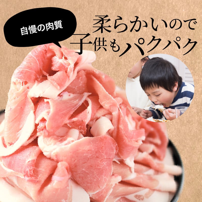 宮崎県産豚肉切り落とし合計4kg(冷凍500g×8パック)_M179-007 - 宮崎県宮崎市｜ふるさとチョイス - ふるさと納税サイト