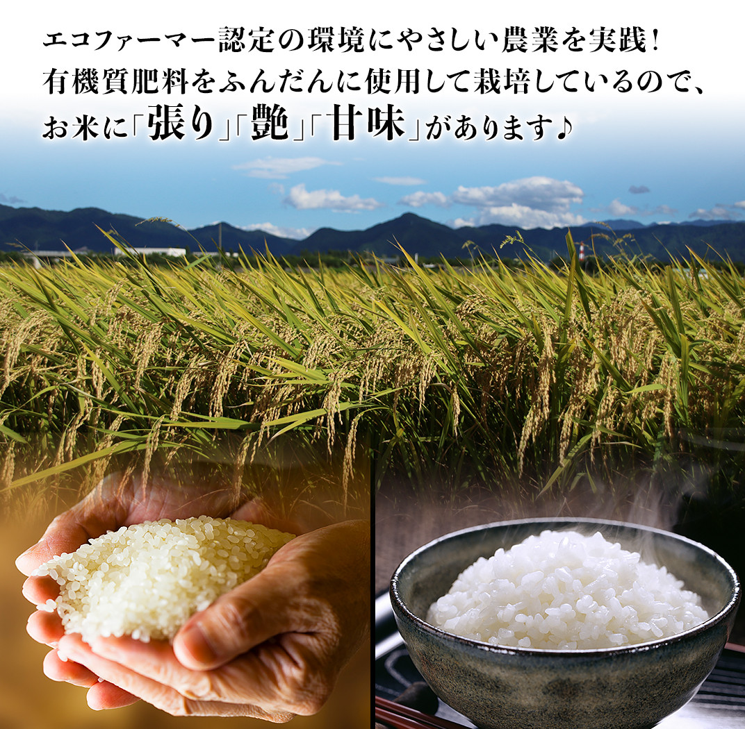 16-K10Z【12ヶ月連続お届け】新潟県胎内市産コシヒカリ10kg（5kg×2袋