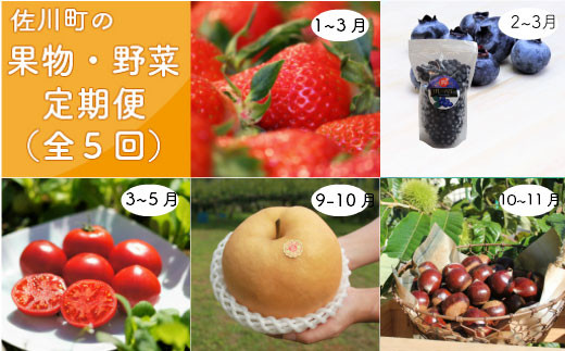 旬の時期に新鮮な果物等をお届けする佐川産農産物のおいしい所取りセット