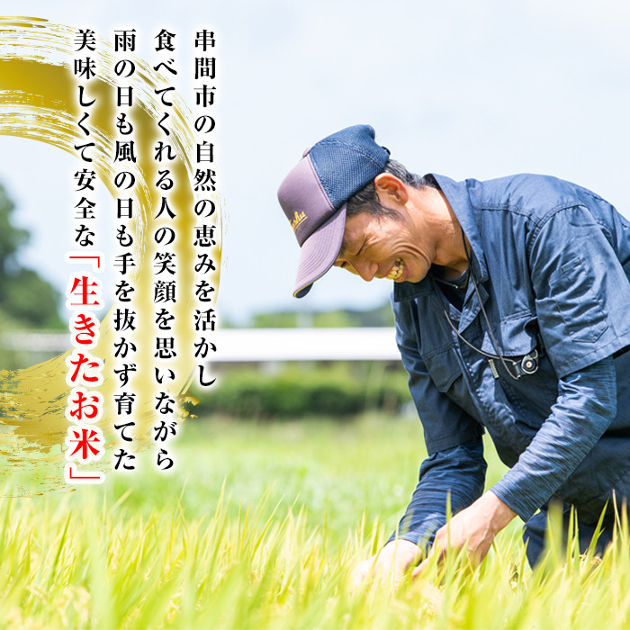 T-B1 ＜令和5年産＞宮崎県串間市産 超早場米「夏の笑み」(計10kg・5kg