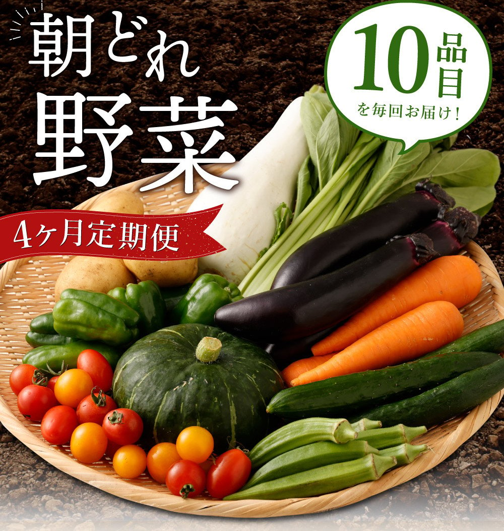 朝どれ野菜１０品目【４ヶ月連続定期便】～新型コロナ支援 - 高知県