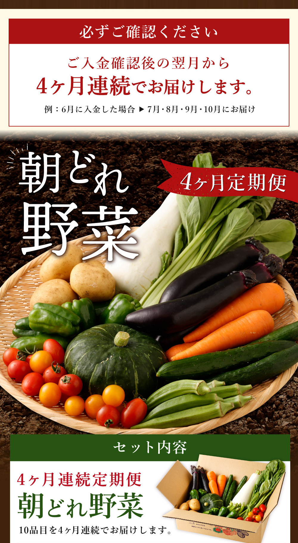 朝どれ野菜１０品目【４ヶ月連続定期便】～新型コロナ支援 - 高知県