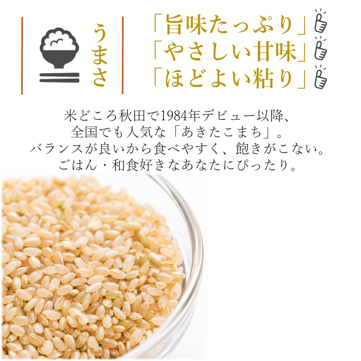 令和4年産新米】あきたこまち 玄米 10kg （5kg×2袋） 秋田県 能代市産 - 秋田県能代市｜ふるさとチョイス - ふるさと納税サイト