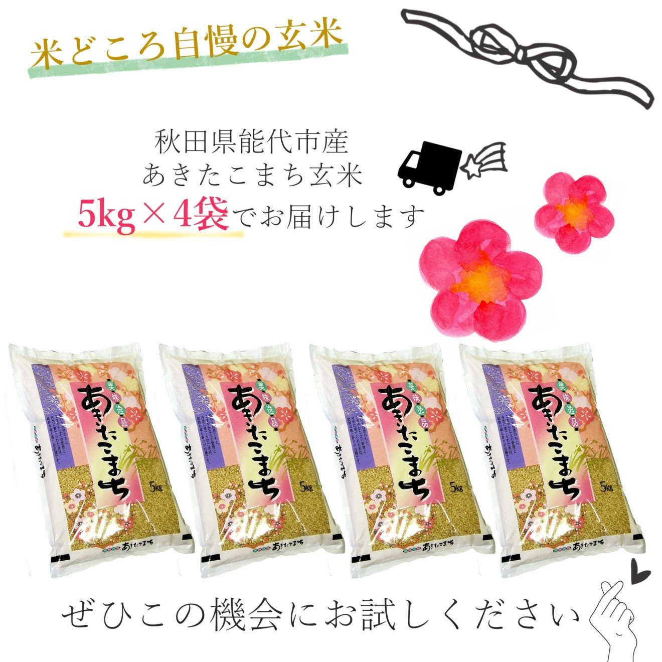 店舗 こだわり米 ごはんソムリエが選ぶ あきたこまち 10kg ※10月中旬より発送予定