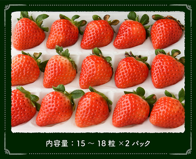 通販　ふるさと納税　(H017109)　神埼市　香月さんちのいちご(さがほのか)280g×4パック