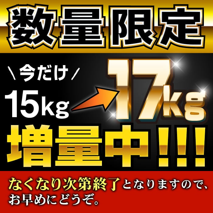 最高品質の 家計応援肥後あか牛入り手作りハンバーグ２４個 個包装 コロナ支援 訳あり FKK19-396 fucoa.cl