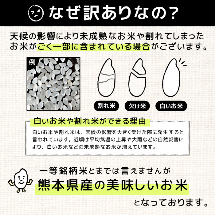 ふるさと納税 21 0 022 令和3年産 無洗米 そうじゃのお米 kg 令和4年8月配送 岡山県総社市 21高い素材