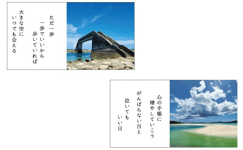 写真