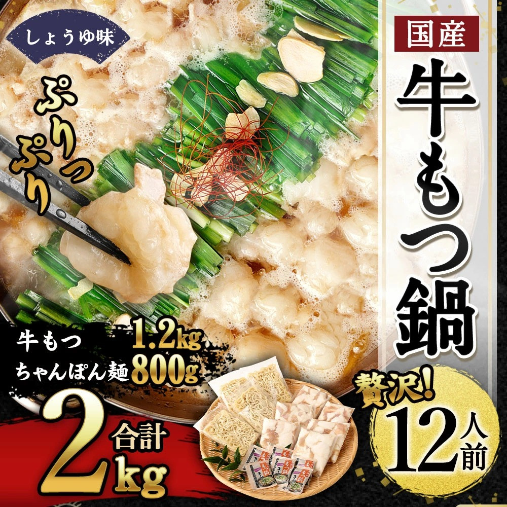 オンライン限定商品 送料無料 メガ盛りスタミナもつ鍋セット約8人前用 牛ホルモンたっぷり800g入り