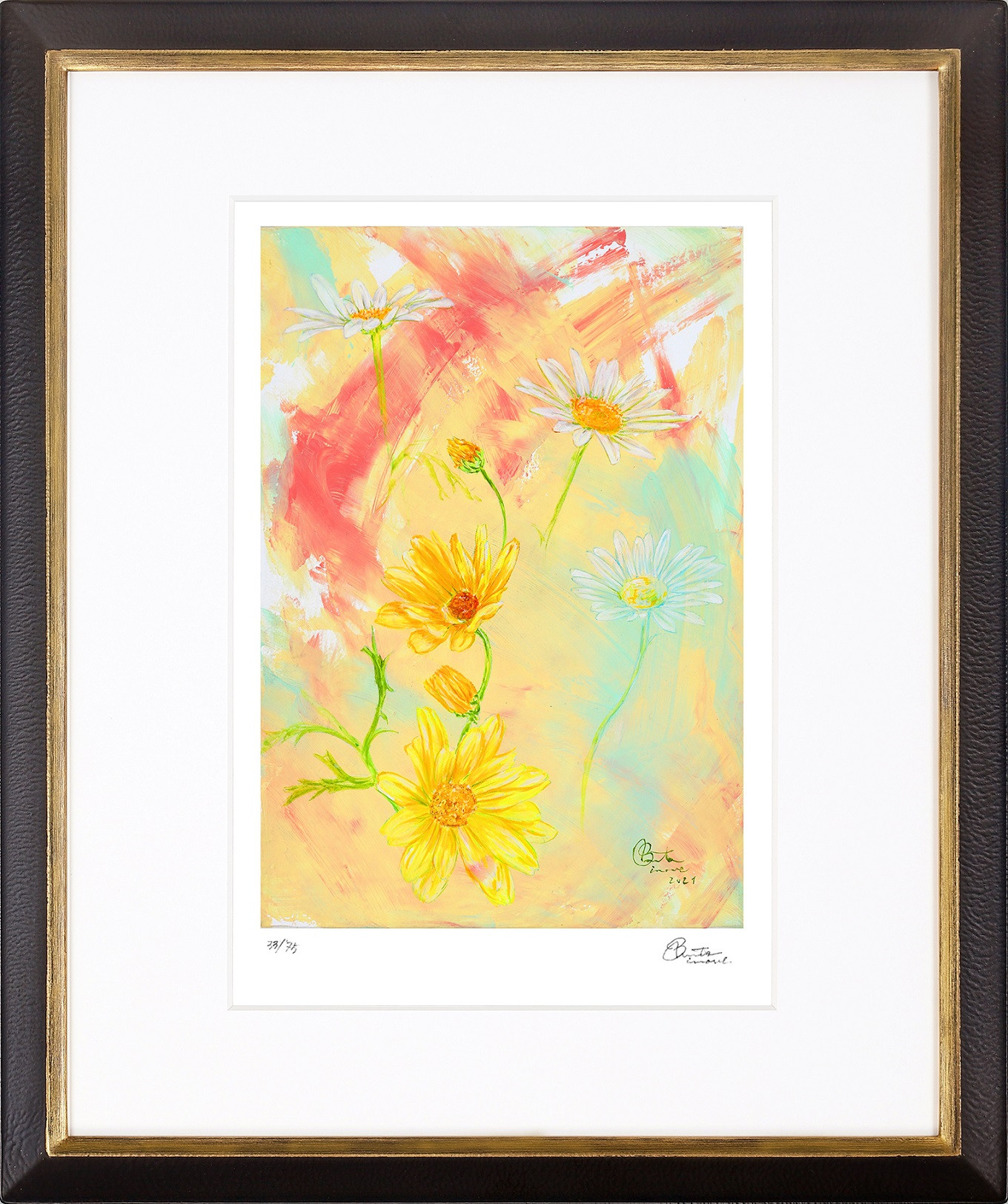 ③Marguerite-Paris Daisy