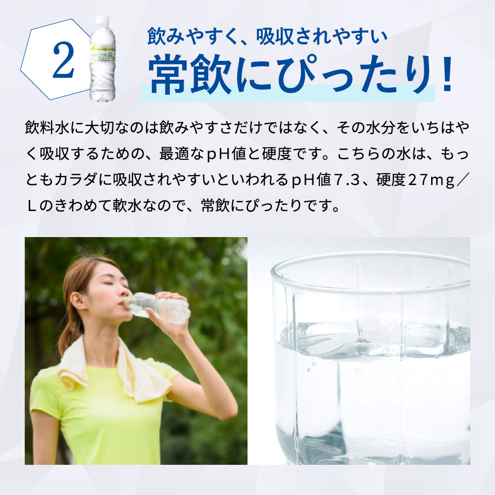 ナチュラルミネラルウォーター ピュアの森 （500ml×24本×2ケース）軟水・ペットボトル・飲料水・水 S8-14 - 岐阜県関市｜ふるさとチョイス  - ふるさと納税サイト