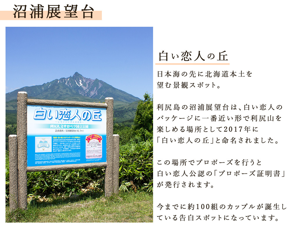 白い恋人に描かれた利尻山】白い恋人（ホワイト＆ブラック）54枚入 - 北海道利尻富士町｜ふるさとチョイス - ふるさと納税サイト