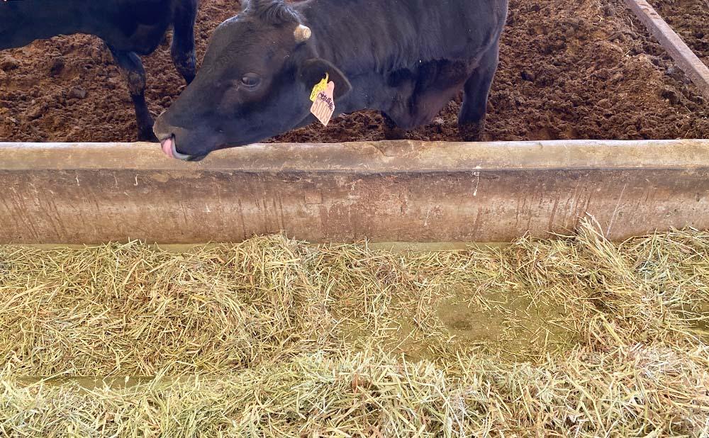 近江牛 澤井牧場 焼肉特選三種盛り合わせ 400ｇ - 滋賀県竜王町｜ふるさとチョイス - ふるさと納税サイト