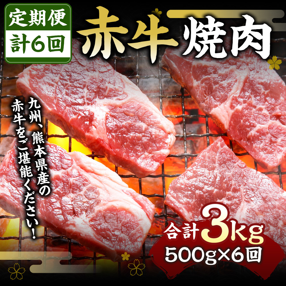 ふるさと納税 熊本県産 赤牛 ロースステーキ 500g×6回 計3kg 熊本県水俣市