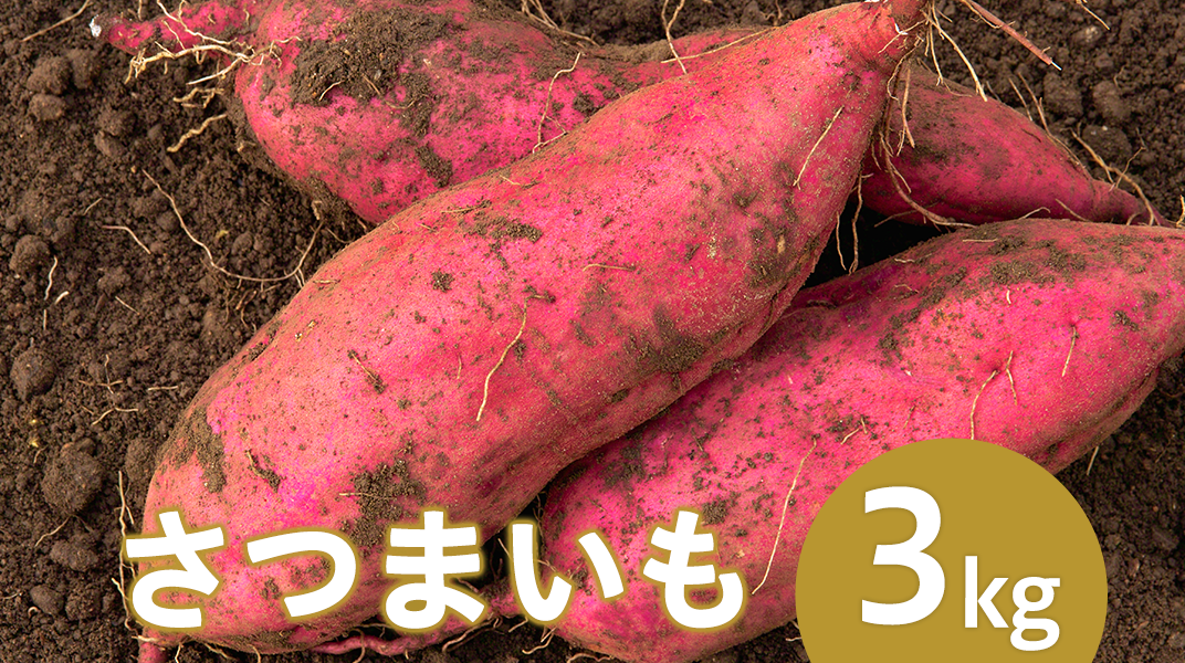 234茨城町産さつまいも3kg（紅はるか・シルクスイート）【2022年12月～2023年1月頃発送予定】