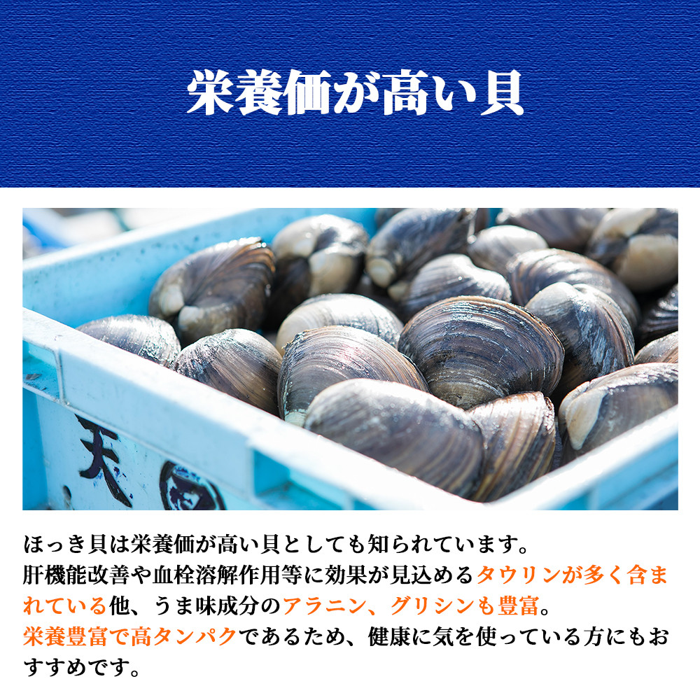 北海道厚真町近海で獲れた 活ほっき貝 10～12個セット - 北海道厚真町