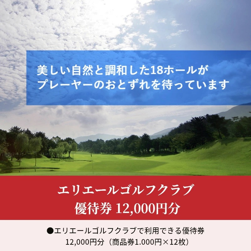 エリエールゴルフクラブ財田商品券12万円分 odmalihnogu.org