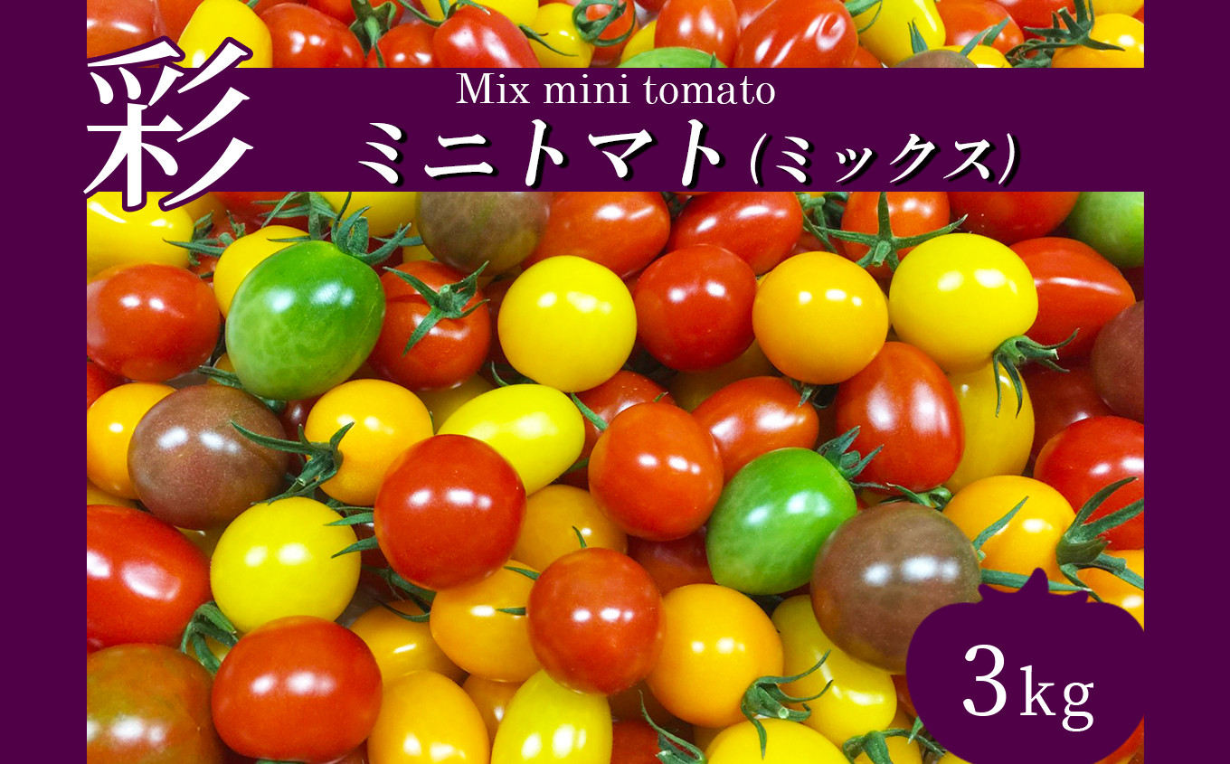 野菜 トマト サザキ農園の「アイコ」3kg 産地直送