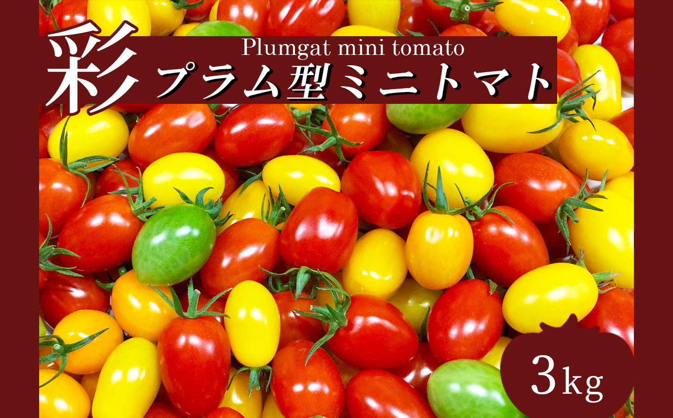 高価値 熊本県天草産ミニトマト 9kg 小鈴 - 野菜
