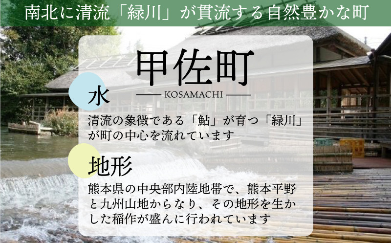 令和4年度新米11月中旬発送】『甲佐の輝き』無洗米16kg（5kg×2袋、6kg×1袋）【配送月選択可！】／出荷日に合わせて精米 - 熊本県甲佐町｜ ふるさとチョイス - ふるさと納税サイト