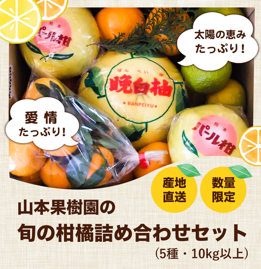 愛媛産 柑橘12～18種詰め合わせセット 約10ｋｇ1箱 ご家庭用