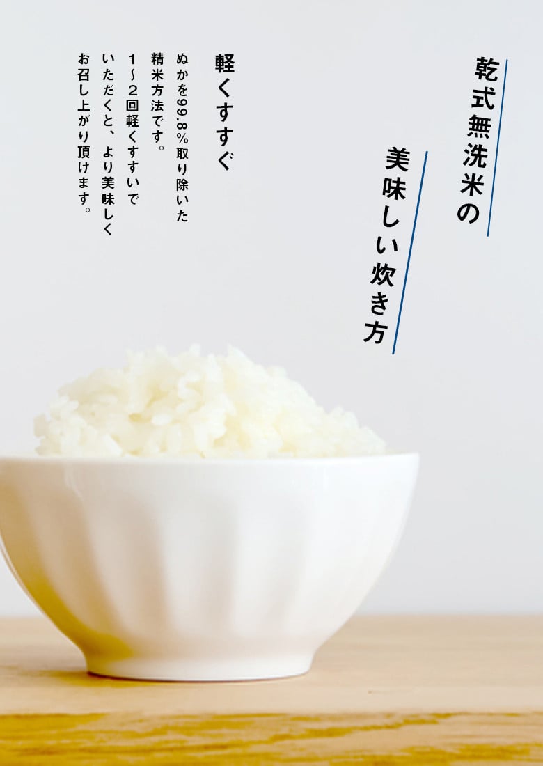 No.315 森のくまさん無洗米11kg【令和3年産】熊本県産 ／ さっぱり 粘り うま味 お米 とれたて 熊本県 特産品 新米 米 白米 -  熊本県山鹿市｜ふるさとチョイス - ふるさと納税サイト