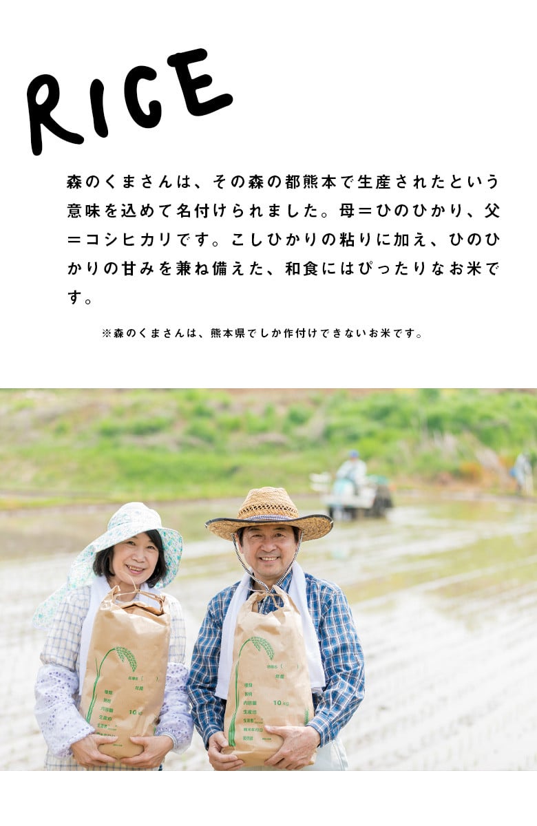 No.315 森のくまさん無洗米11kg【令和3年産】熊本県産 ／ さっぱり 粘り うま味 お米 とれたて 熊本県 特産品 新米 米 白米 -  熊本県山鹿市｜ふるさとチョイス - ふるさと納税サイト