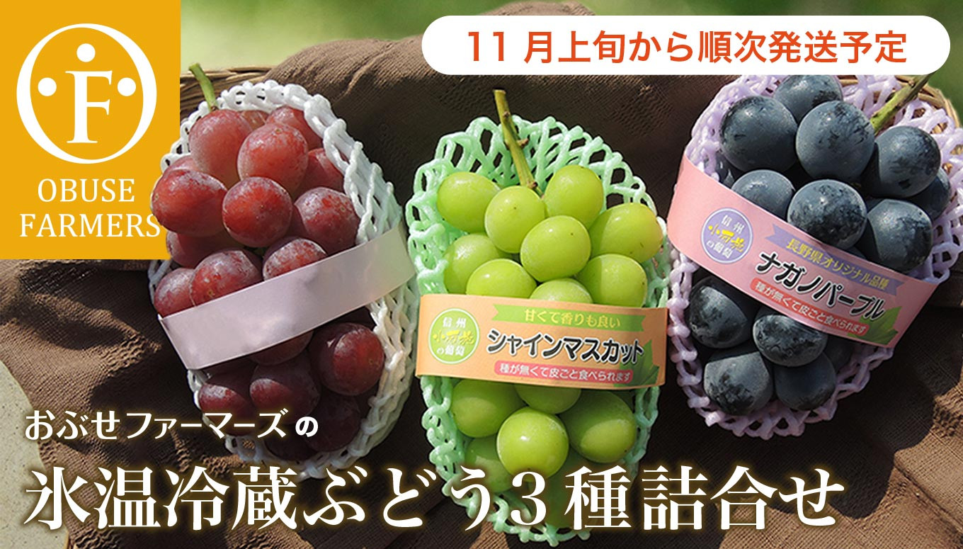 ナガノパープル 長野県産 約5kg 7房〜11房 ぶどう - フルーツ