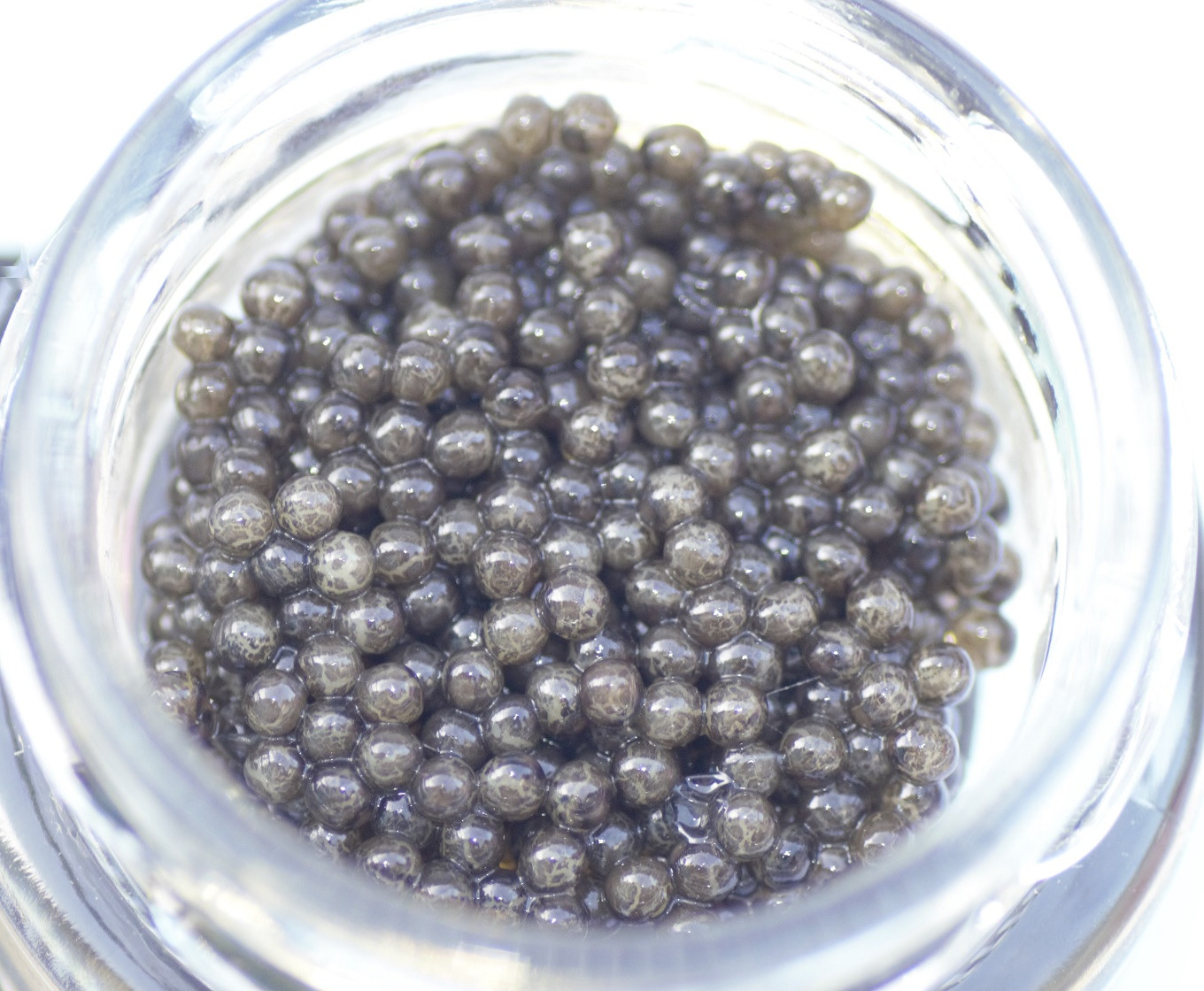 日向キャビア(Hyuga Caviar) 20g【箱なし】(冷凍・フレッシュキャビア) [22-06] 宮崎県日向市｜ふるさとチョイス  ふるさと納税サイト