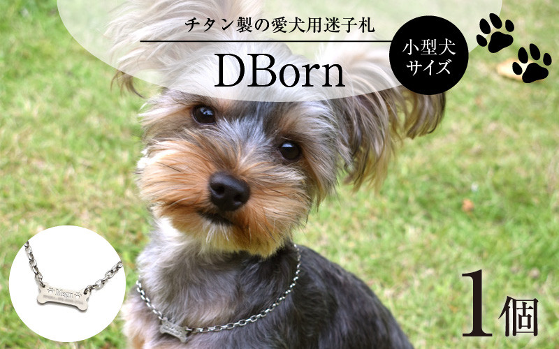 チタン製 愛犬用迷子札 Dborn （小型犬サイズ）　[H-01802]