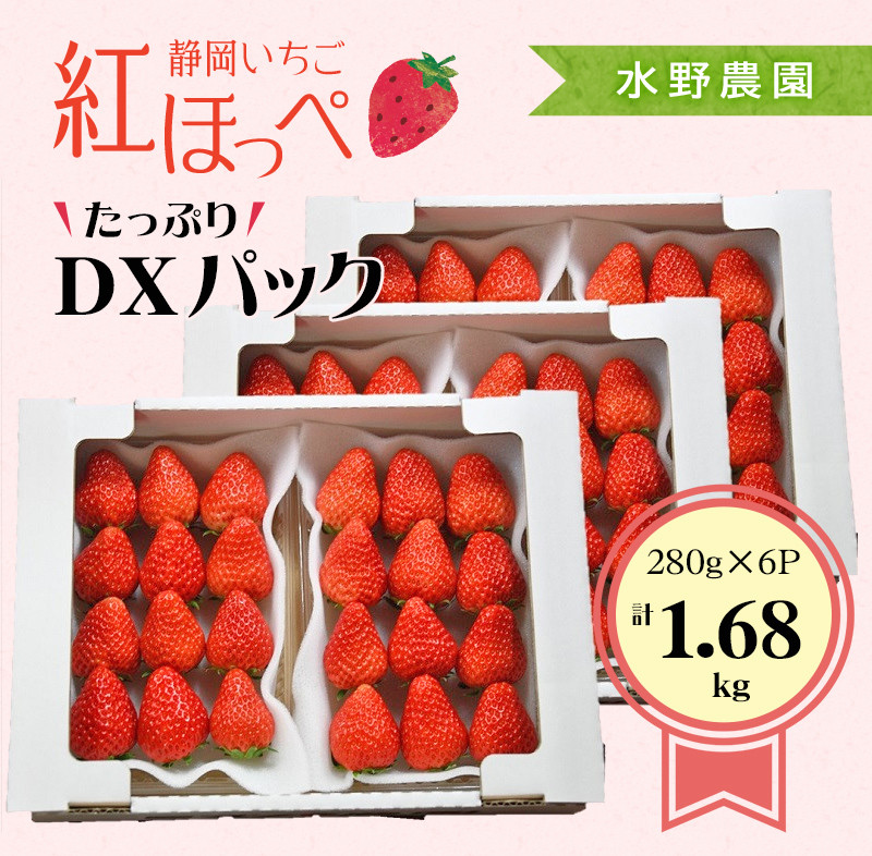 掛川市・水野農園が育てた「紅ほっぺ」イチゴです♪