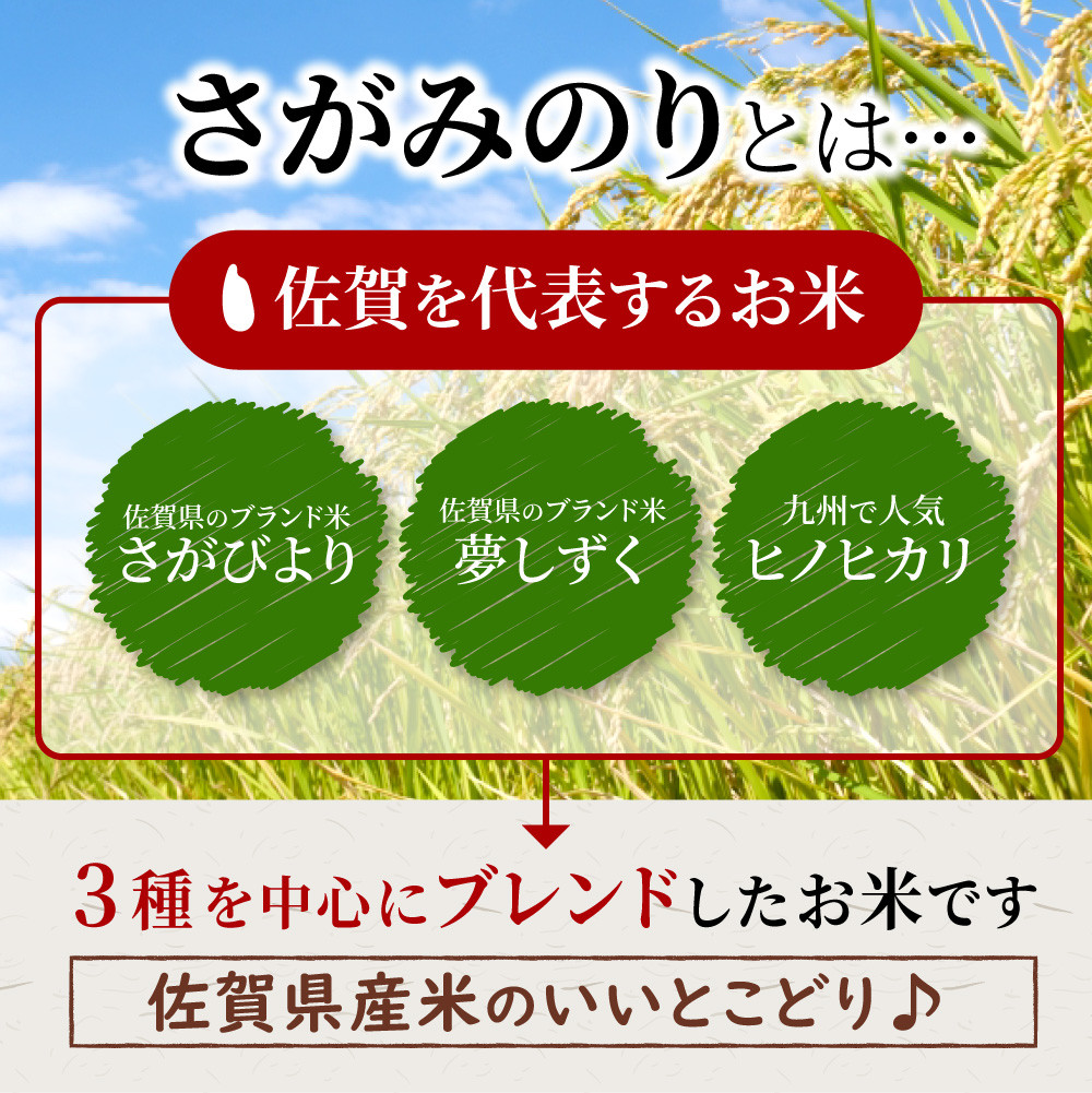 新米】20㎏ 令和4年産 さがみのり (5kg×4袋) B-858 - 佐賀県上峰町｜ふるさとチョイス - ふるさと納税サイト