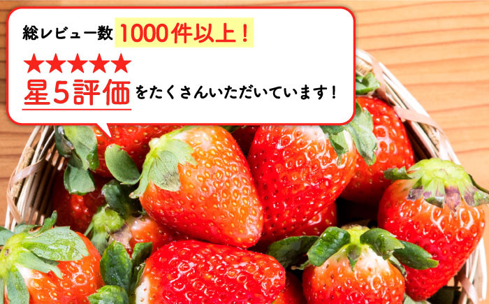 先行予約】【産地直送】白石産いちご さがほのか 約150g×6パック（計900g以上）[IZZ012] - 佐賀県白石町｜ふるさとチョイス -  ふるさと納税サイト