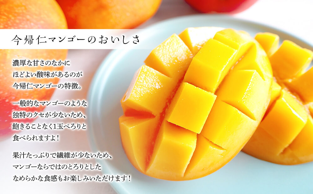 沖縄県今帰仁マンゴー - 果物