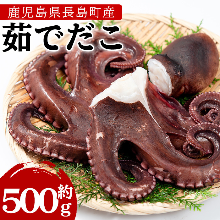 浜のかあちゃんの茹でだこ 500ｇ Hama 3311 鹿児島県長島町 ふるさと納税 ふるさとチョイス