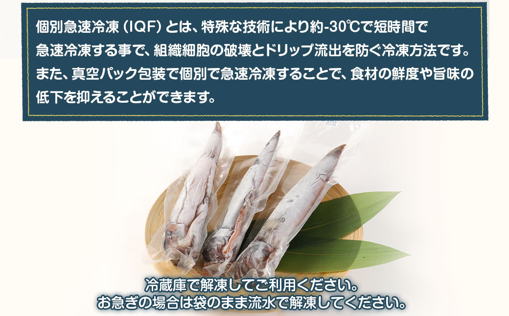 船上 急速冷凍 スルメイカ 3尾 IQF 真空パック イカ - 青森県八戸市｜ふるさとチョイス - ふるさと納税サイト