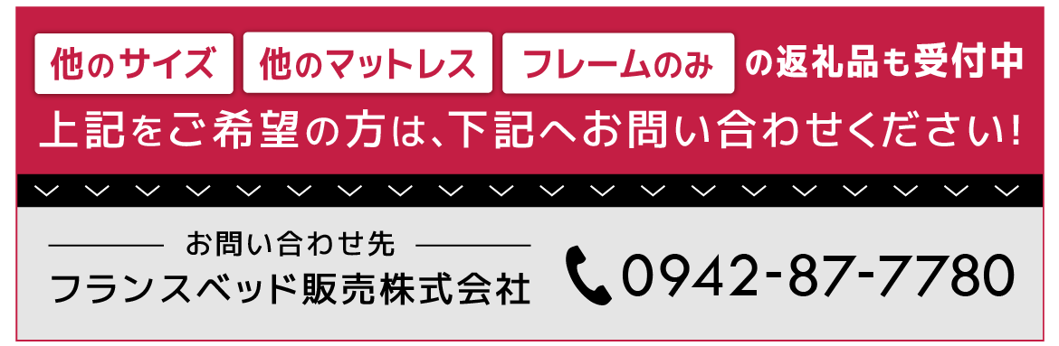 LT JOORYU 上峰町限定品】フランスベッド 羽毛布団【サイズ：クイーン