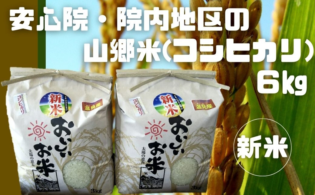 食品/飲料/酒令和3年度大分県産安心院米　玄米20kg