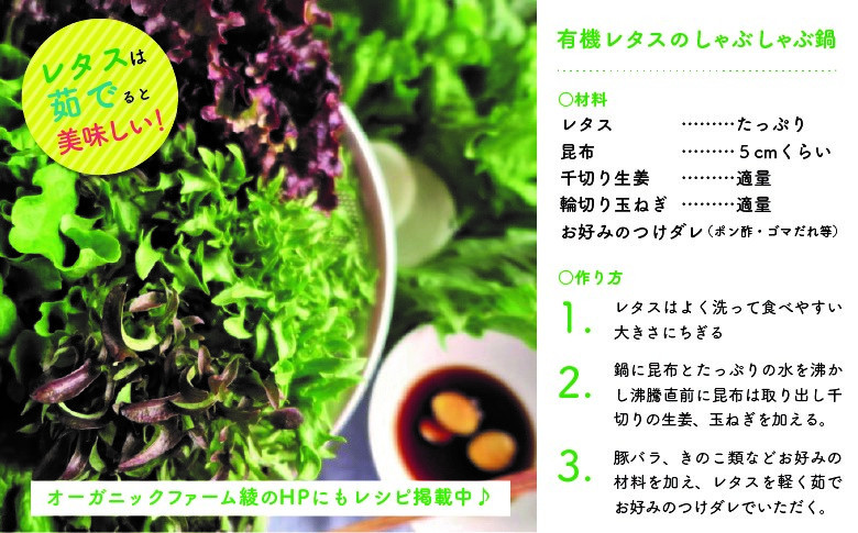 25 有機jas 野菜が主役 4種のレタス鍋セット 宮崎県綾町 ふるさとチョイス ふるさと納税サイト 25 有機jas 野菜が主役 4種のレタス鍋セット 宮崎県綾町 ふるさとチョイス ふるさと納税サイト